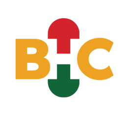 Logo of the Black Health Connect