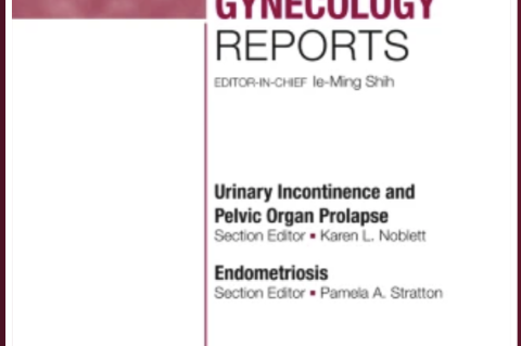 Factors Associated with Access, Utilization, and Living Experiences of Labor and Delivery Care among Black Women in the US: A Scoping Review