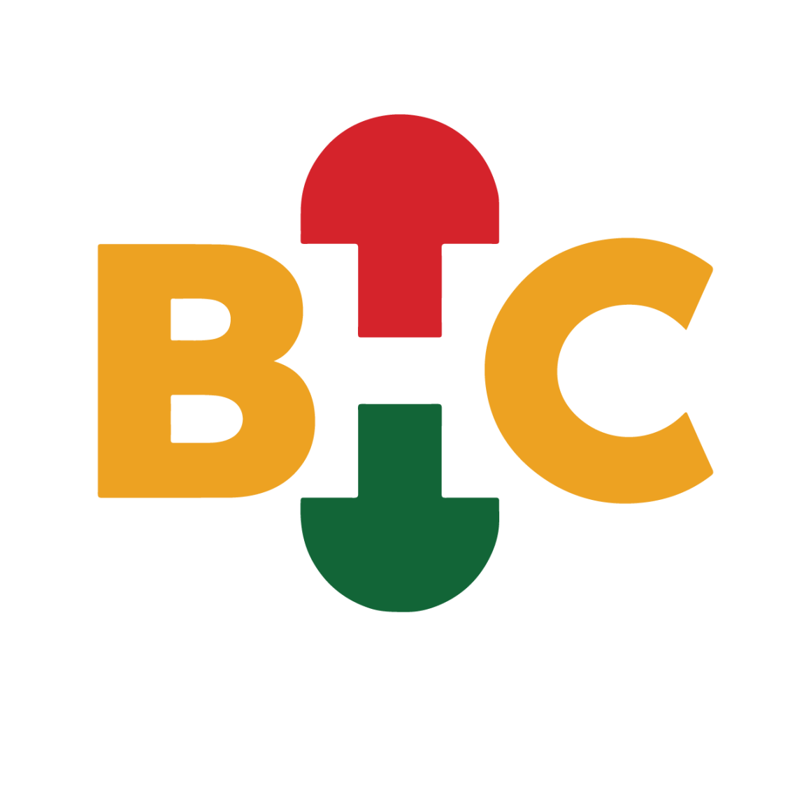 Logo of the Black Health Connect